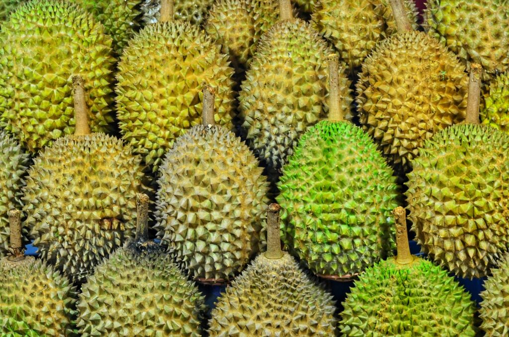durian in bangladesh